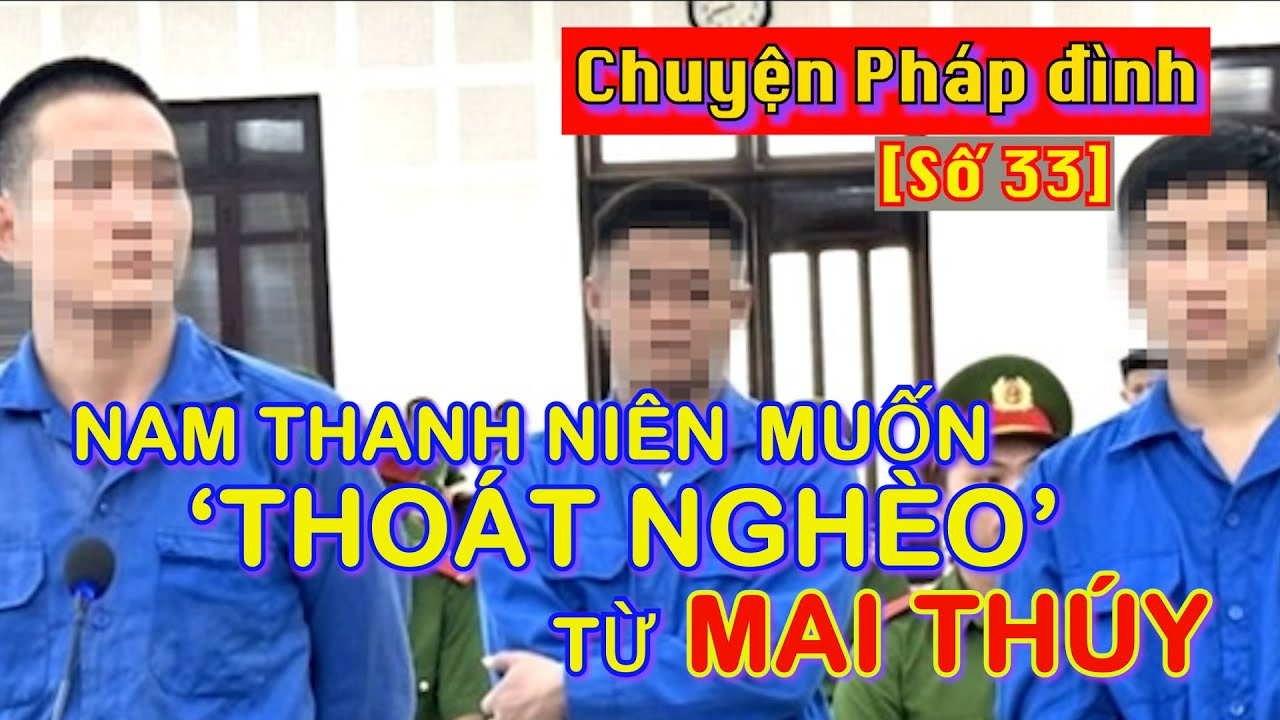 Chuyện pháp đình [Số 33]: Nam thanh niên muốn 'thoát nghèo' từ mai thúy