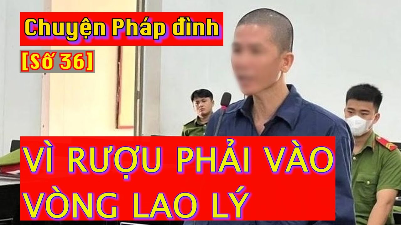 Chuyện pháp đình [Số 36]: Vì rượu phải vào vòng lao lý