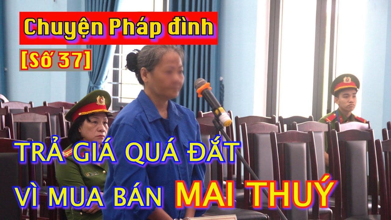 Chuyện pháp đình [Số 37]: Trả giá quá đắt vì mua bán mai thuý