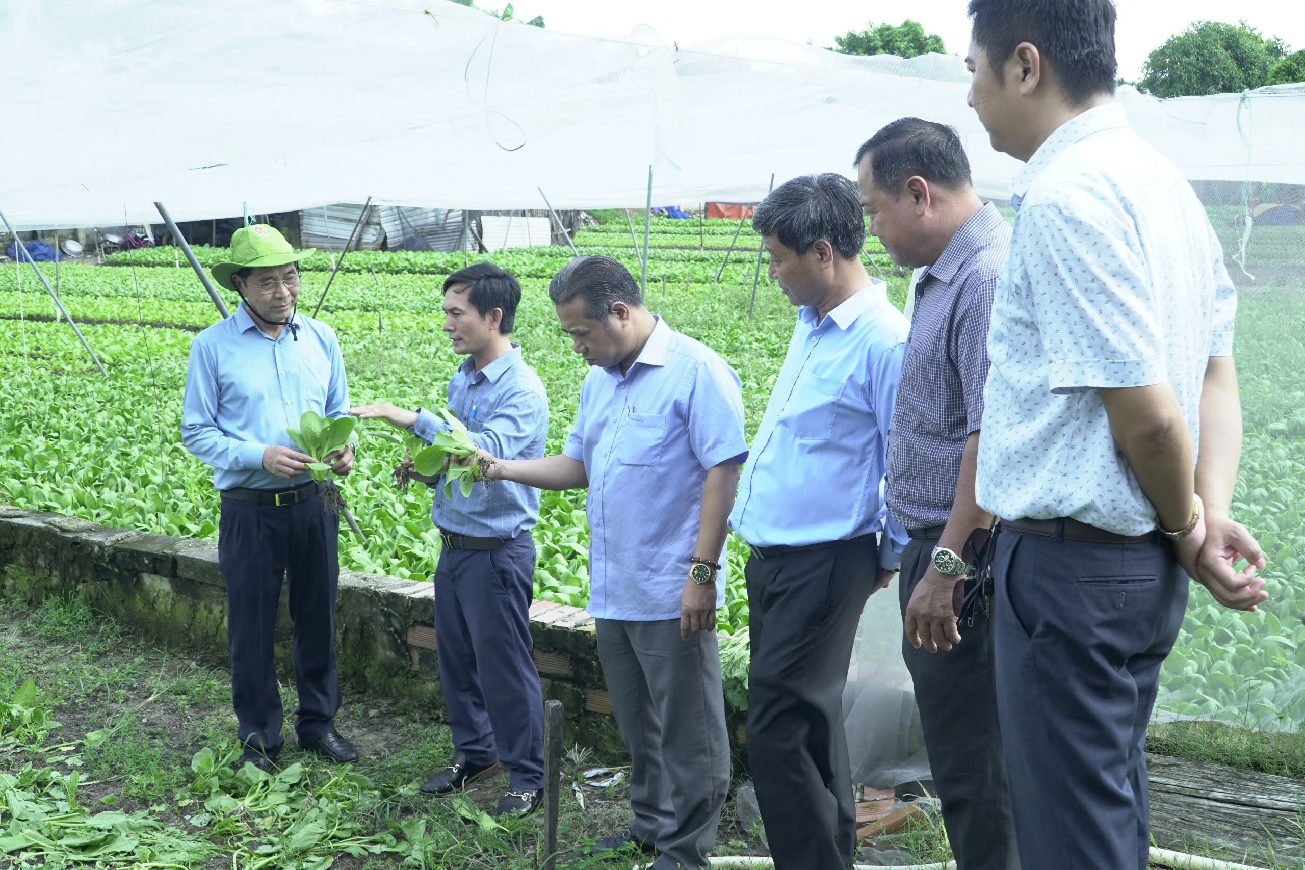 Bế giảng lớp đào tạo nghề cho nông dân huyện Hóc Môn